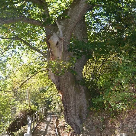 Hotell Nucleo Rural Tixileiro Sisterna