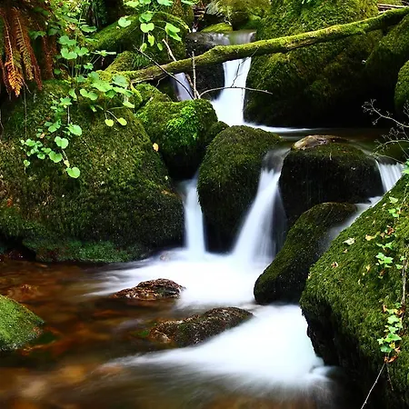 Hotel Núcleo Rural Tixileiro
