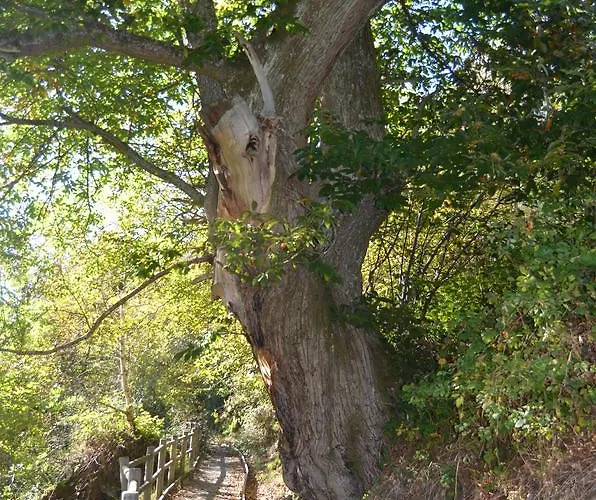 Hotel Núcleo Rural Tixileiro Sisterna
