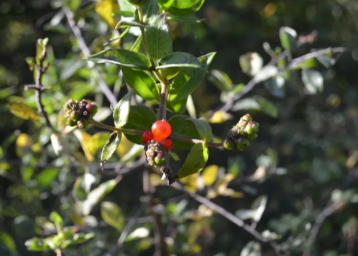 Núcleo Rural Tixileiro Sisterna