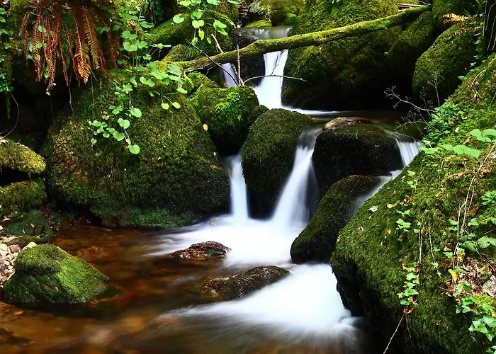Hotel Núcleo Rural Tixileiro